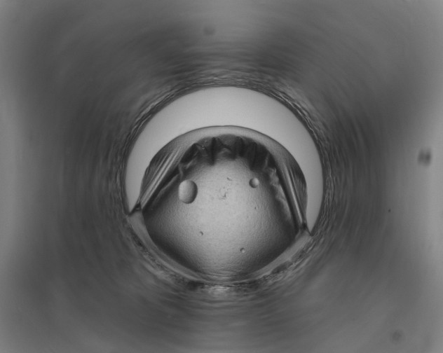 X0000095110325200712301743