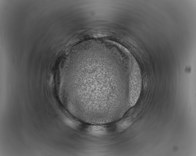 X0000095110327200712301743