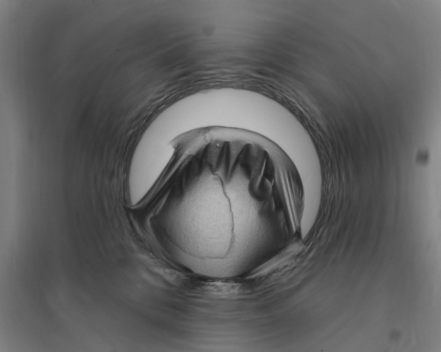 X0000095110328200712301743