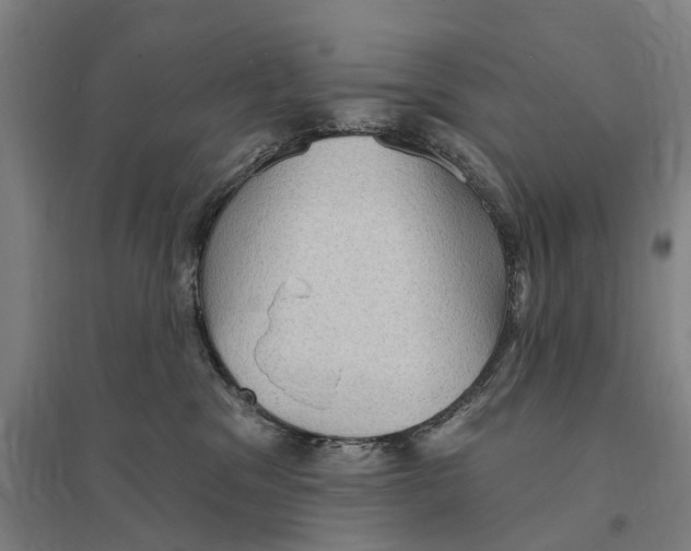 X0000095110329200712301743