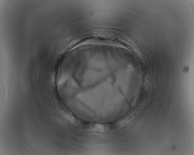 X0000095110330200712301742