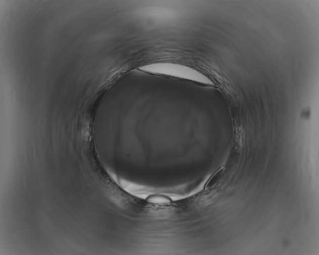 X0000095110331200712301742