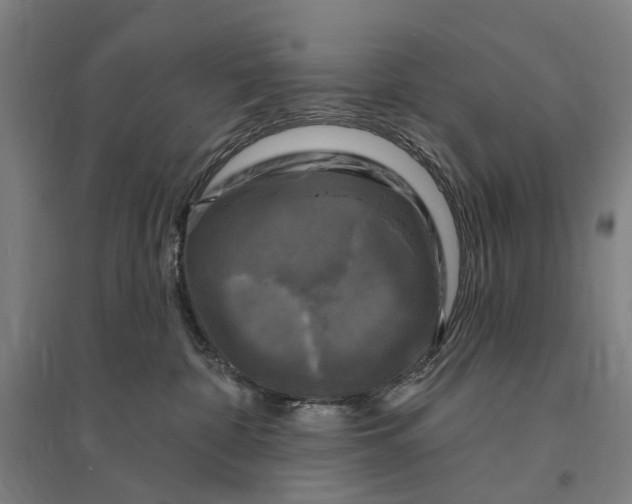 X0000095110332200712301742