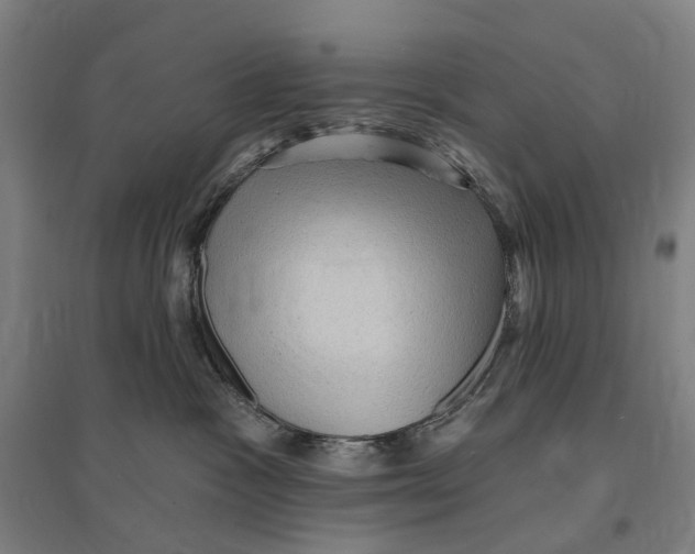 X0000095110333200712301742