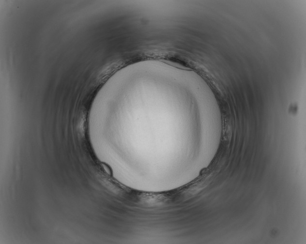 X0000095110334200712301742