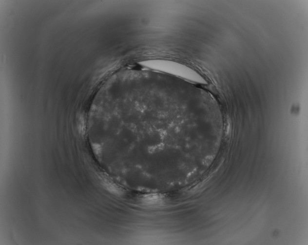 X0000095110335200712301742