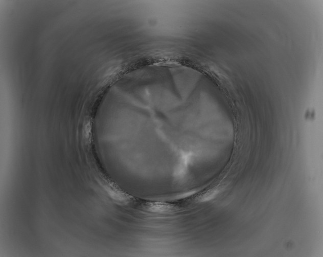 X0000095110336200712301742