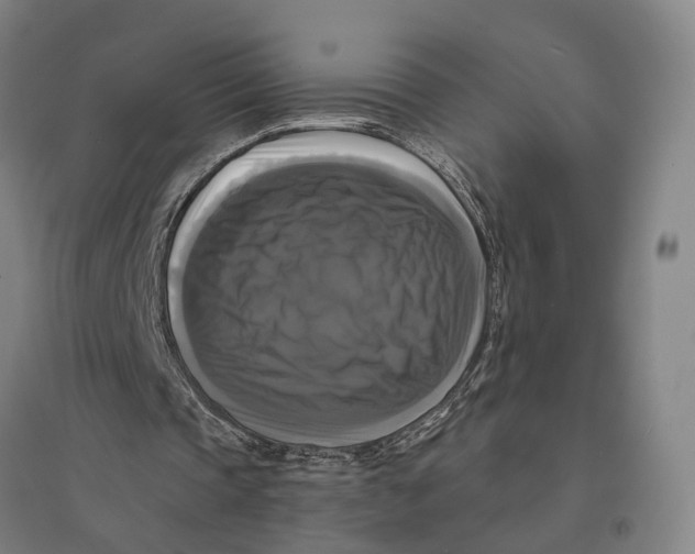 X0000095110337200712301742