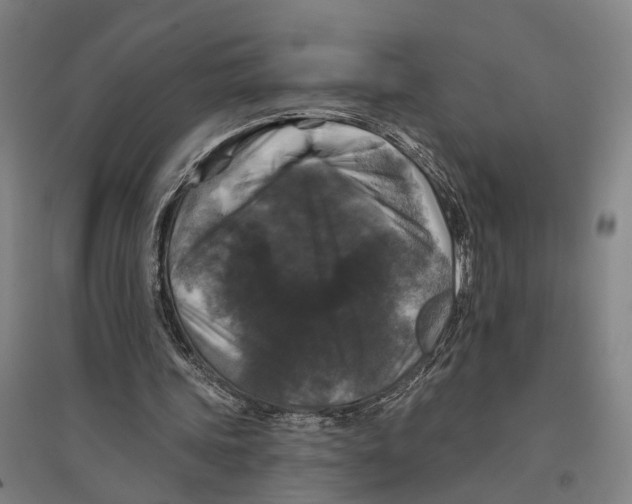 X0000095110339200712301742