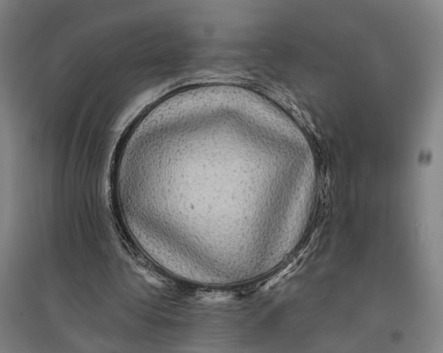 X0000095110340200712301742