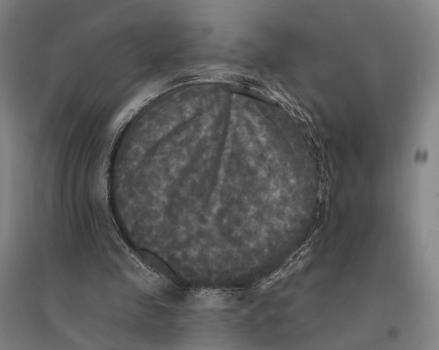 X0000095110341200712301742