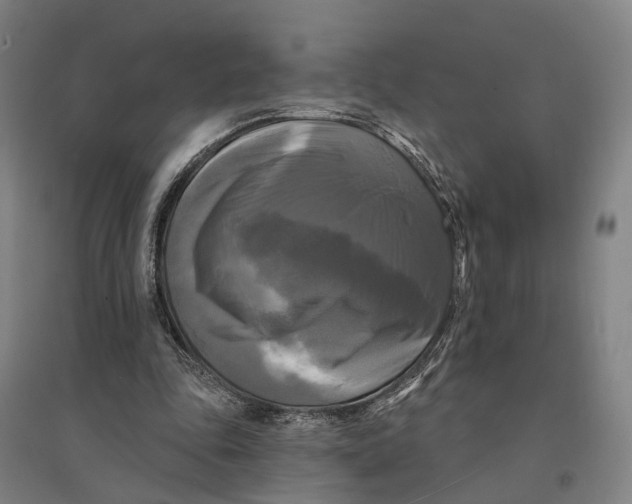 X0000095110343200712301742