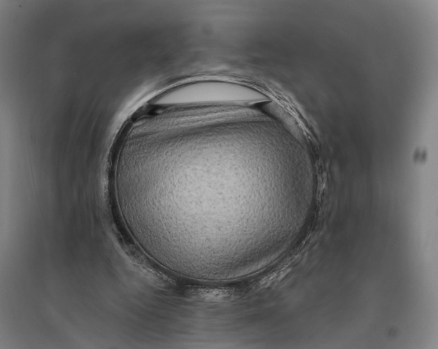 X0000095110344200712301742