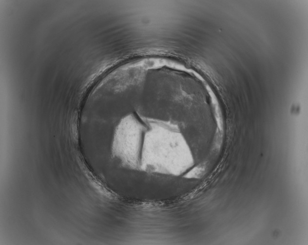 X0000095110345200712301742