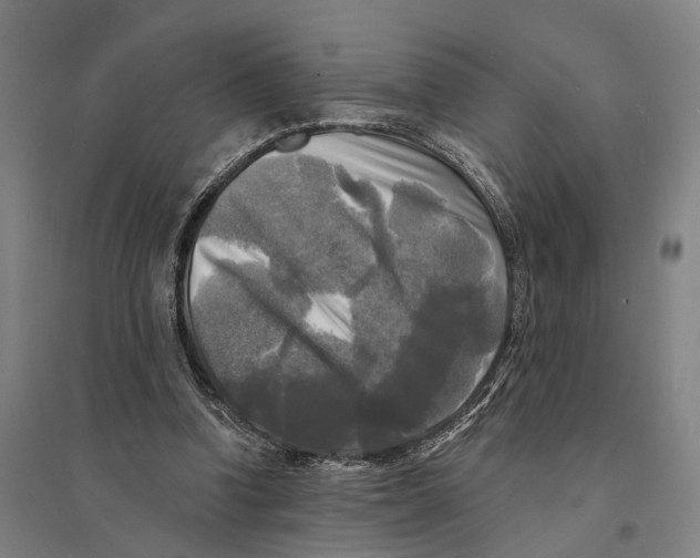 X0000095110346200712301742