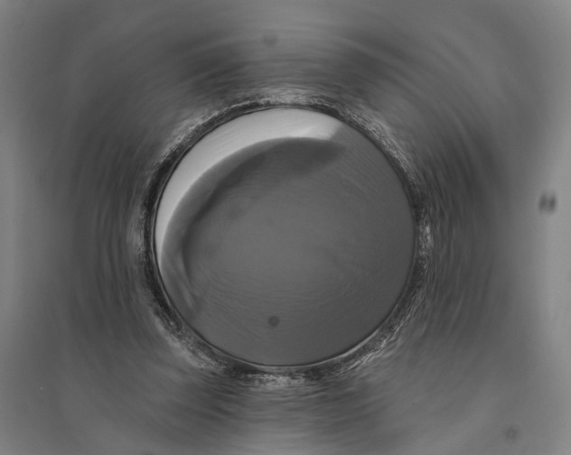 X0000095110347200712301742