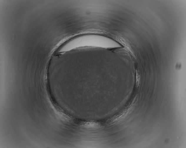 X0000095110348200712301742