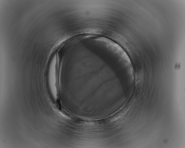 X0000095110349200712301742