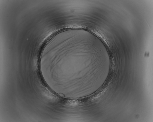 X0000095110351200712301742