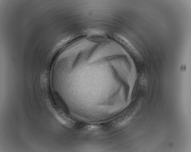 X0000095110352200712301742