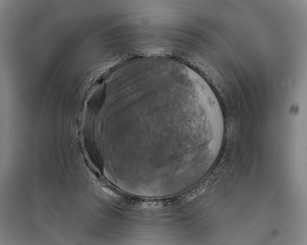 X0000095110353200712301742