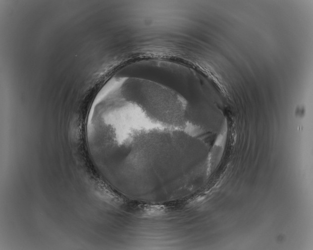 X0000095110355200712301742