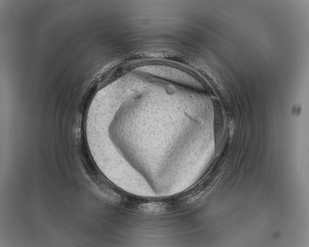 X0000095110356200712301742