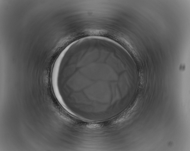 X0000095110357200712301742