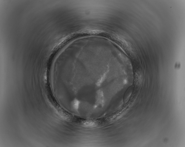 X0000095110358200712301742