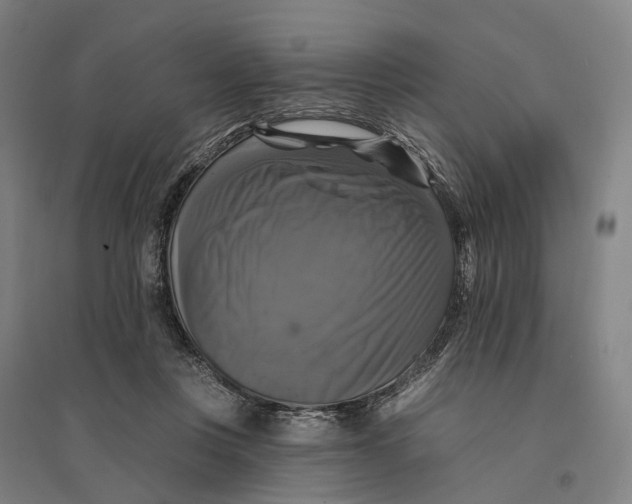 X0000095110359200712301742