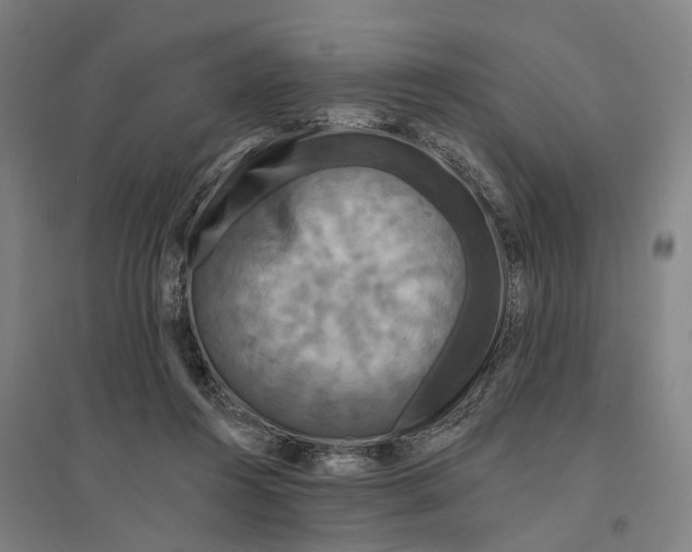 X0000095110360200712301742