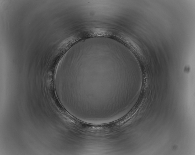 X0000095110361200712301742