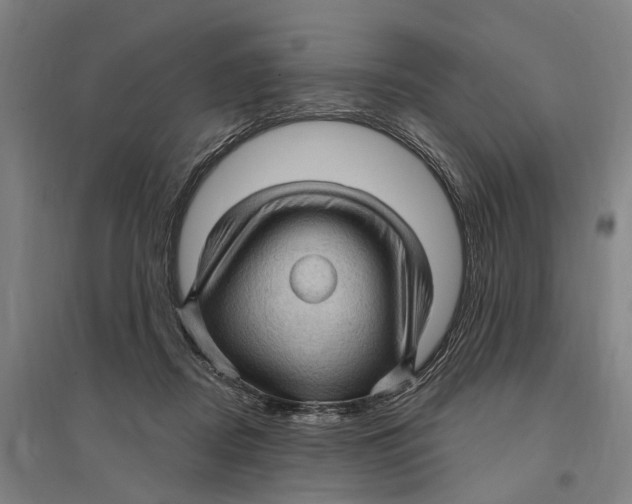 X0000095110362200712301742