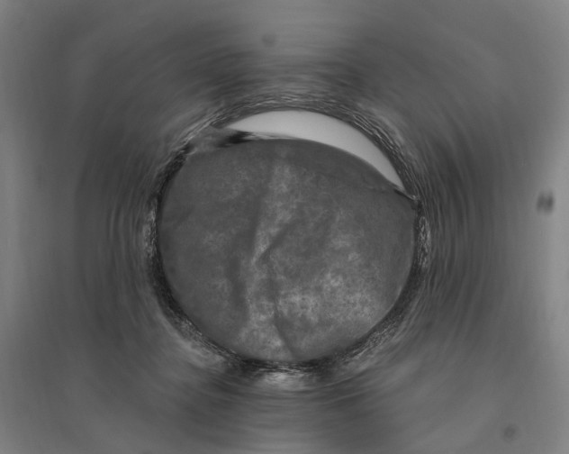 X0000095110364200712301742