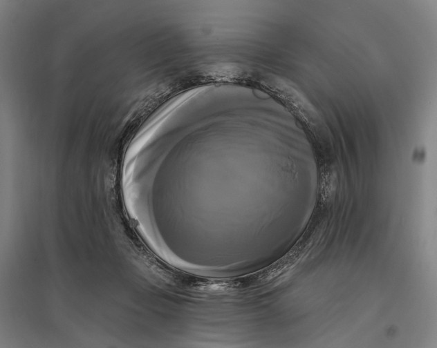 X0000095110365200712301742