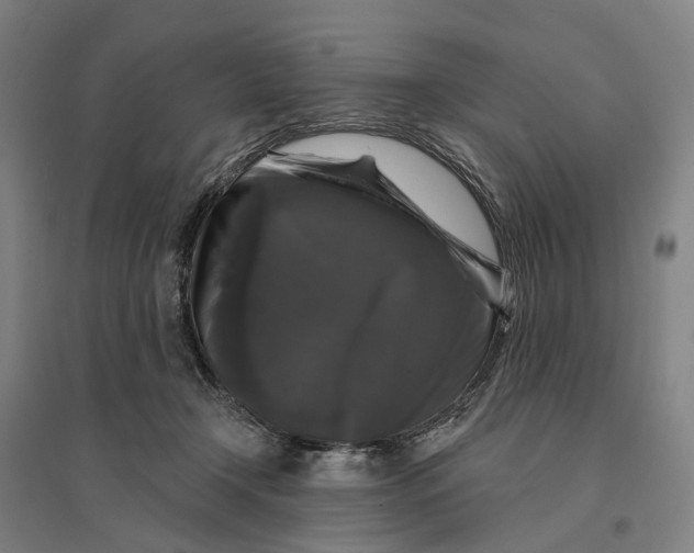 X0000095110366200712301742