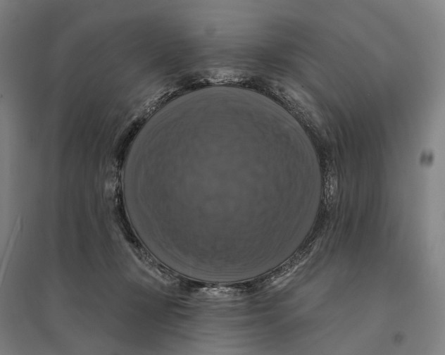 X0000095110367200712301742