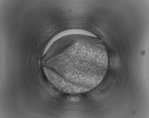 X0000095110368200712301742