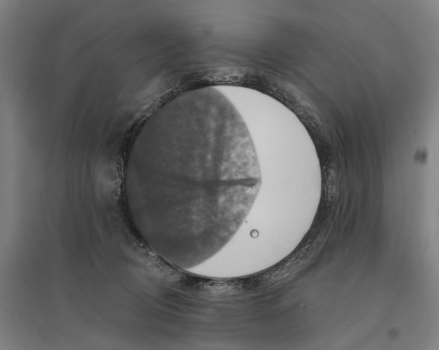 X0000095110370200712301742