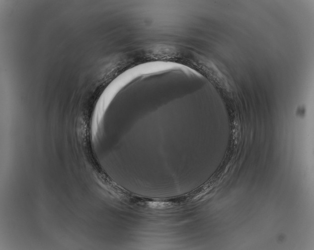 X0000095110371200712301742