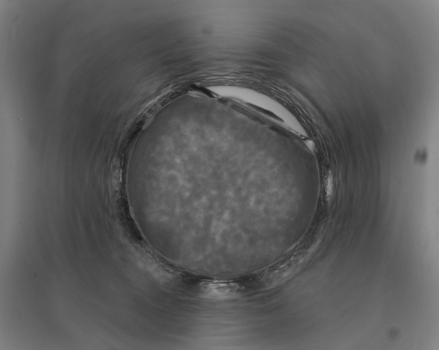 X0000095110372200712301742