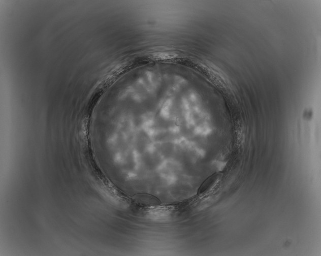 X0000095110373200712301742