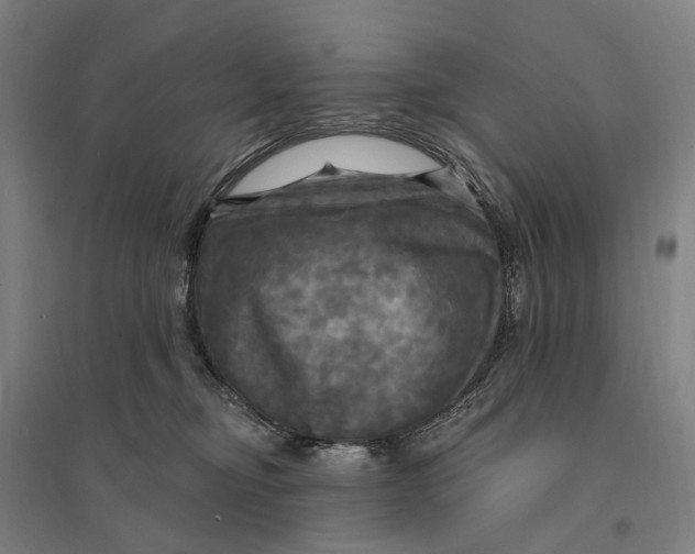 X0000095110374200712301742