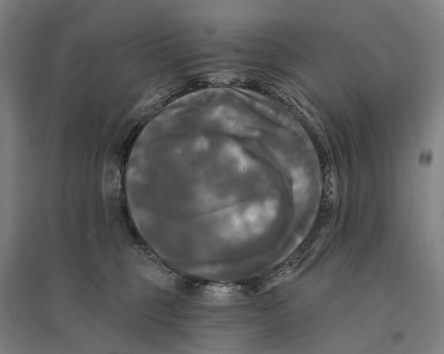 X0000095110375200712301742