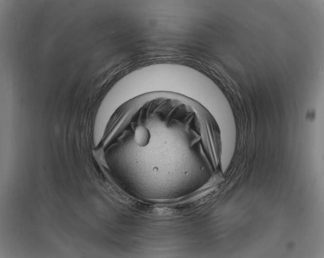 X0000095110376200712301742