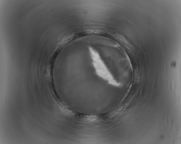 X0000095110377200712301742