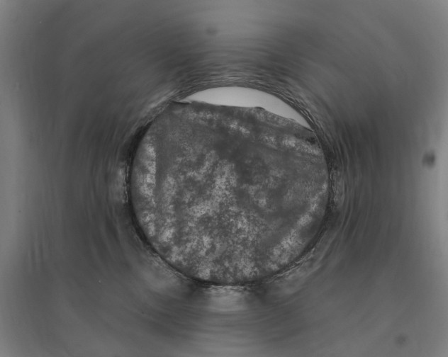 X0000095110378200712301742