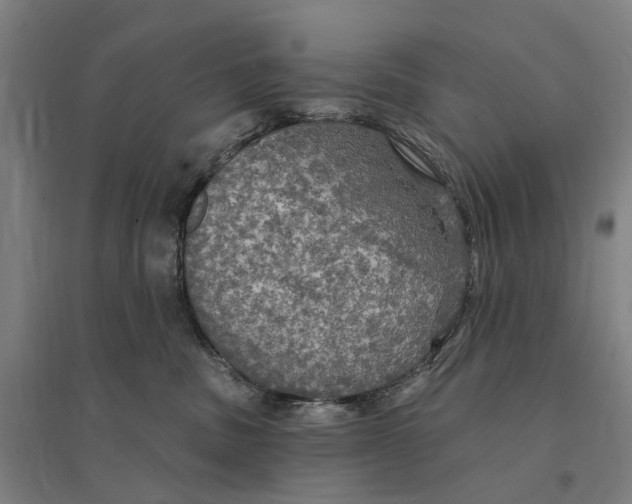 X0000095110379200712301742