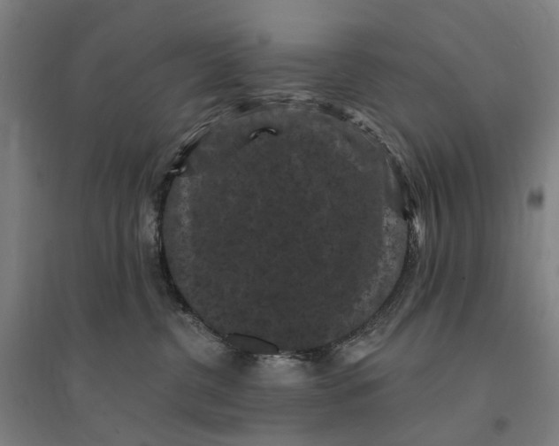 X0000095110380200712301742