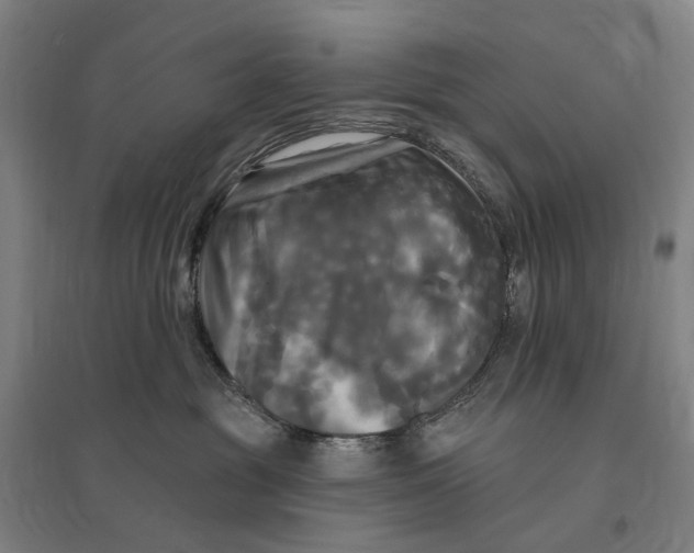 X0000095110381200712301742